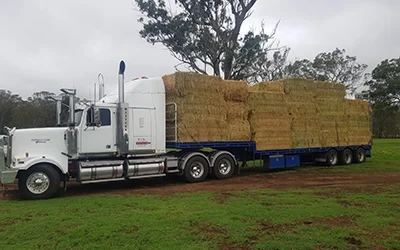 C & L Transport Pty Ltd