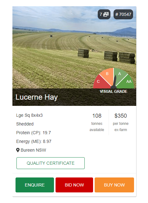 Lucerne Hay For Sale