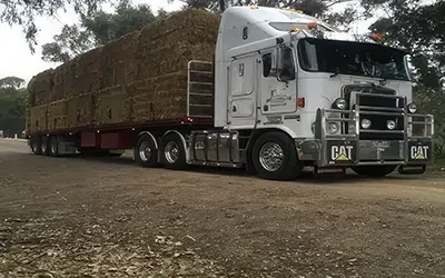N.T.H Transport