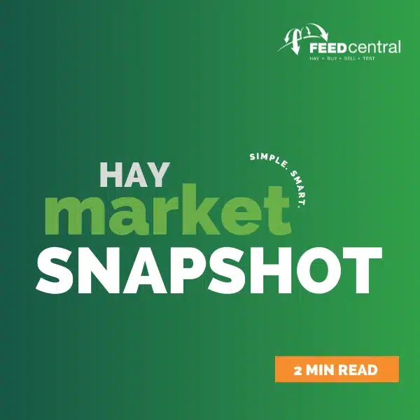 Hay Market Snapshot April 2022