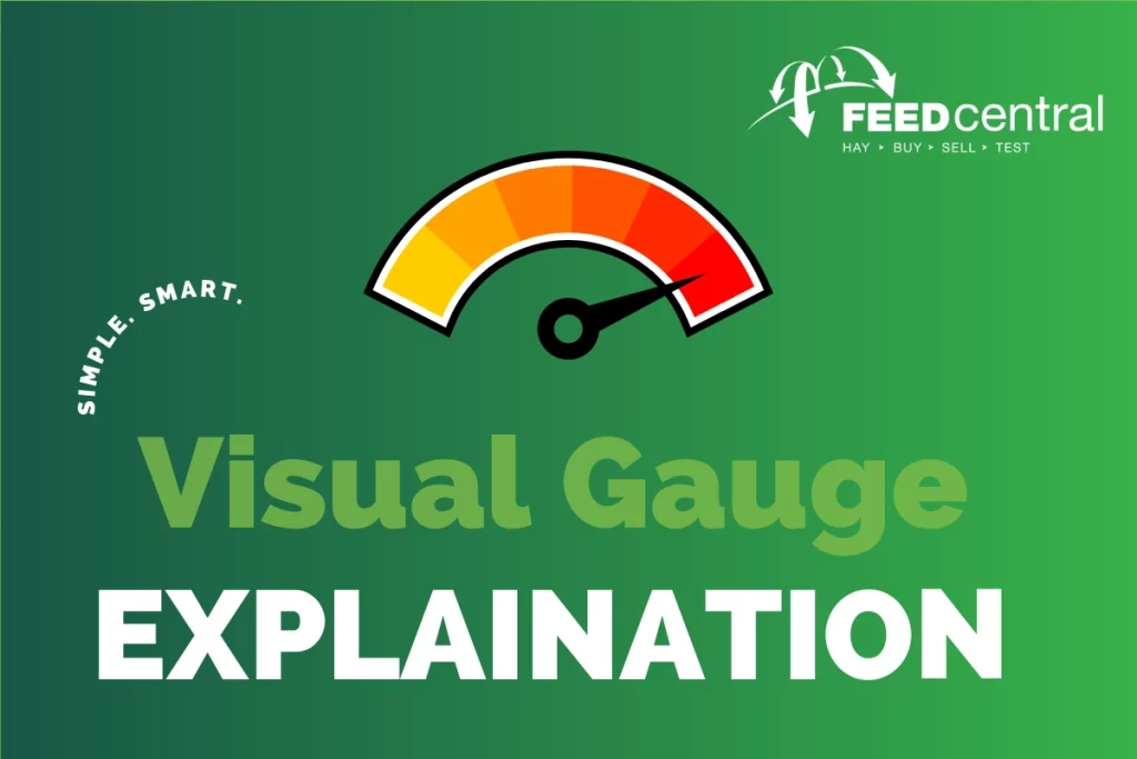 Visual Gauge Feed Central