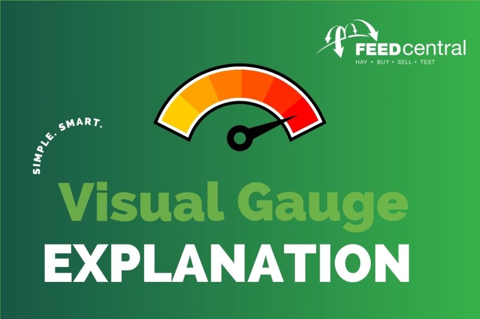 How To Tell The Quality Of Hay Visually - Feed Central