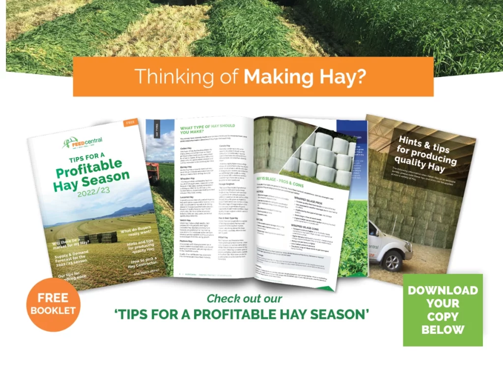 Tips for Profitable Hay Season Feed Central