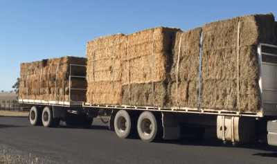 Feed testing: Calculating the benefits