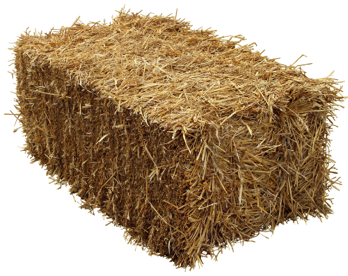 Hay Bale (1)