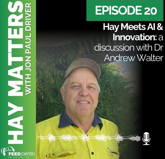 Hay Meets AI & Innovation: a discussion with Dr Andrew Walters