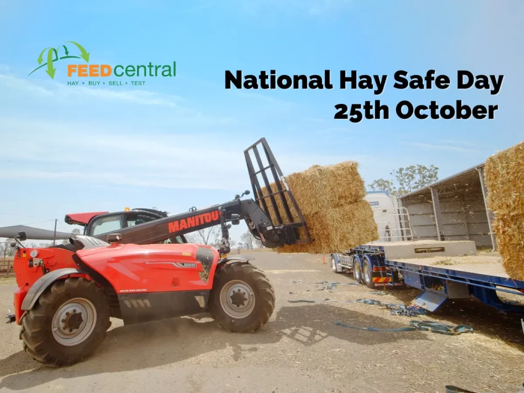 National-Hay-Safe-Day-2022-1024x768-1