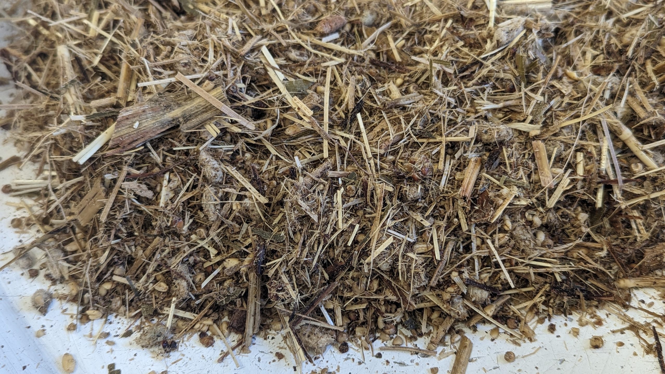 Rations-Sample-Lab-15