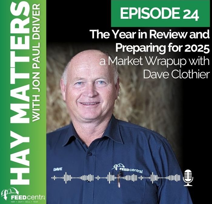 The year in review and preparing for 2025: a Market Wrapup with Dave Clothier
