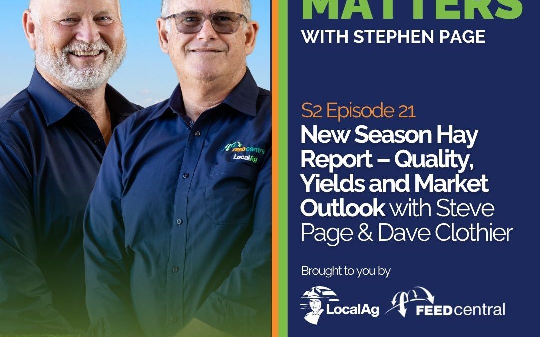 New Season Hay Report – Quality, Yields & Market Outlook