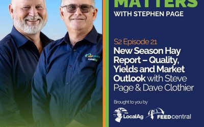 New Season Hay Report – Quality, Yields & Market Outlook