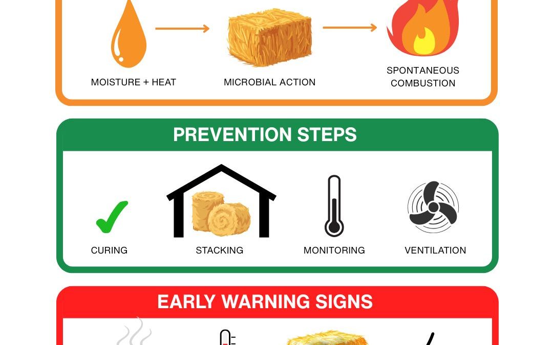 The cause of spontaneous combustion in hay