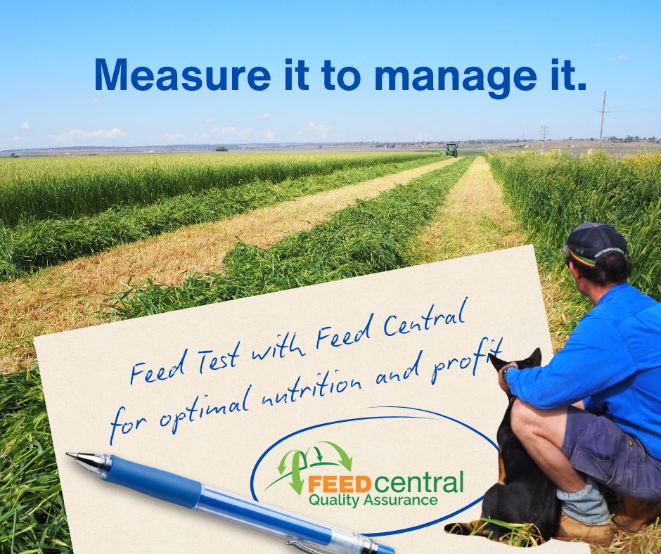 Promote Feed Testing - Feed Central
