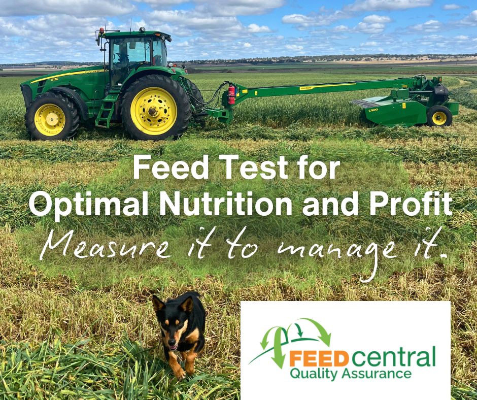 Promote Feed Testing - Feed Central
