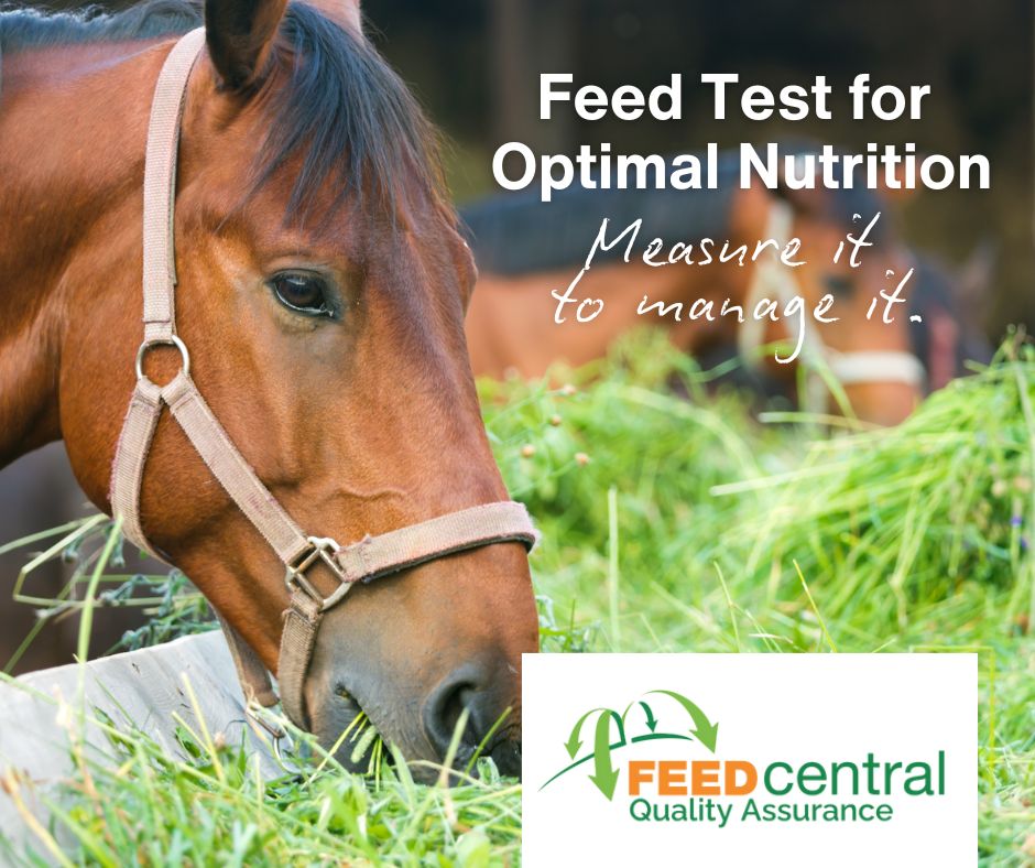 Promote Feed Testing - Feed Central
