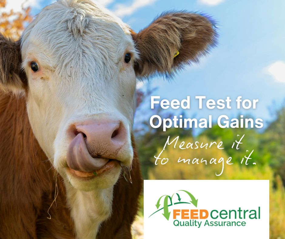 Promote Feed Testing - Feed Central