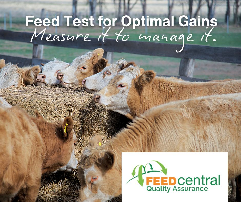 Promote Feed Testing - Feed Central