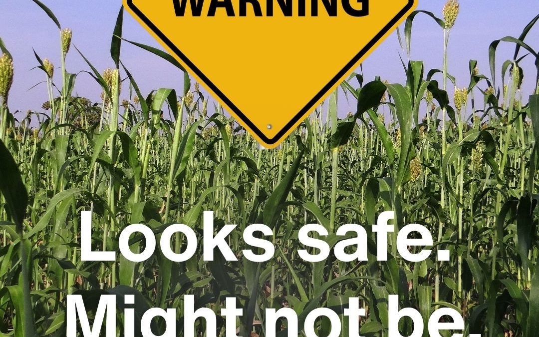 A life-and-death test that could save your stock this summer