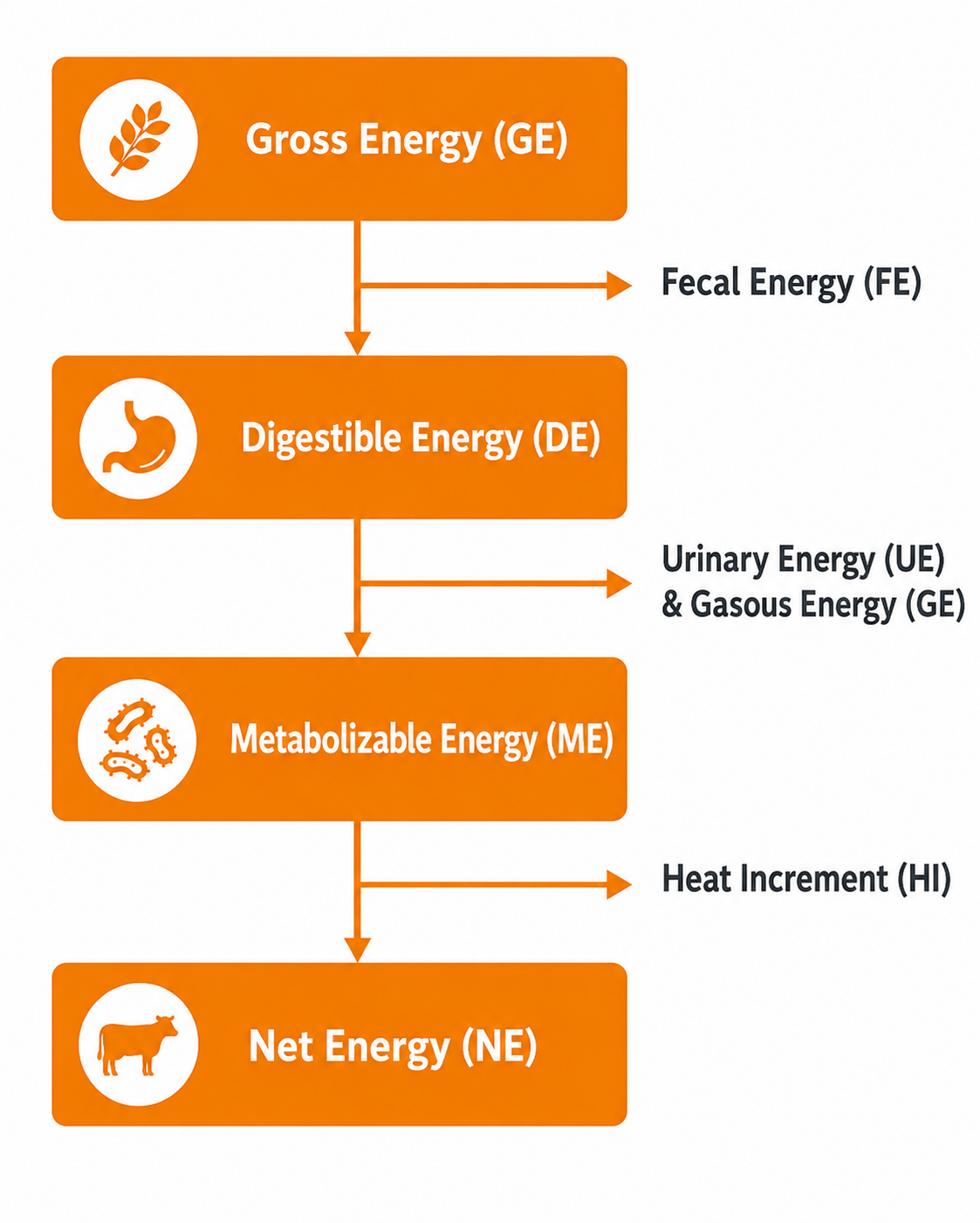 Energy System